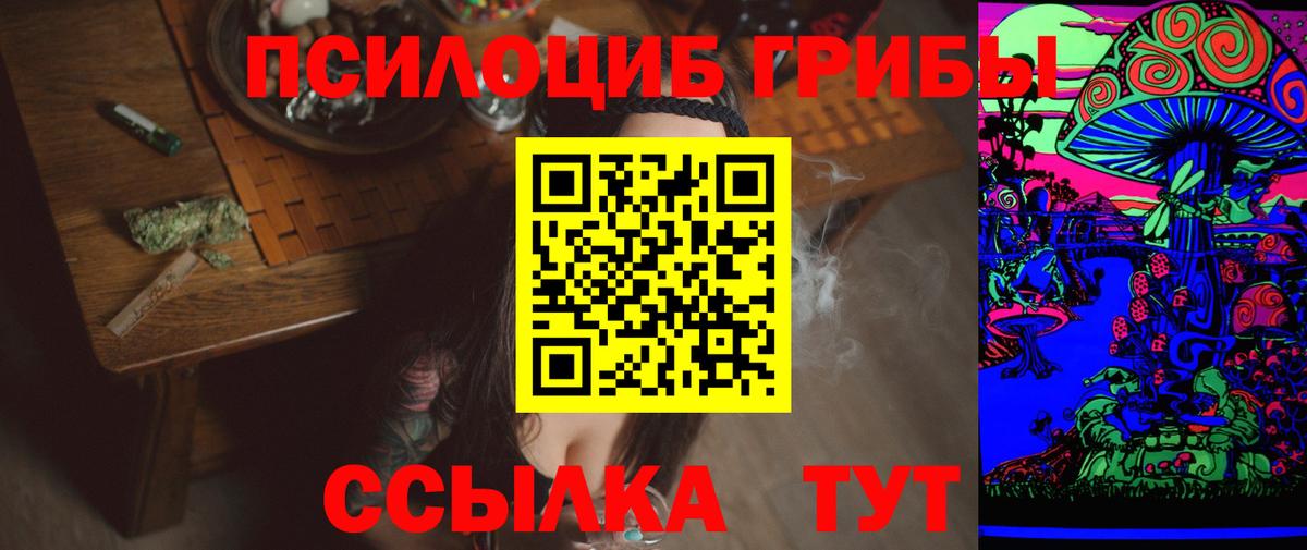 Галлюциногенные грибы прущие грибы Зеленогорск