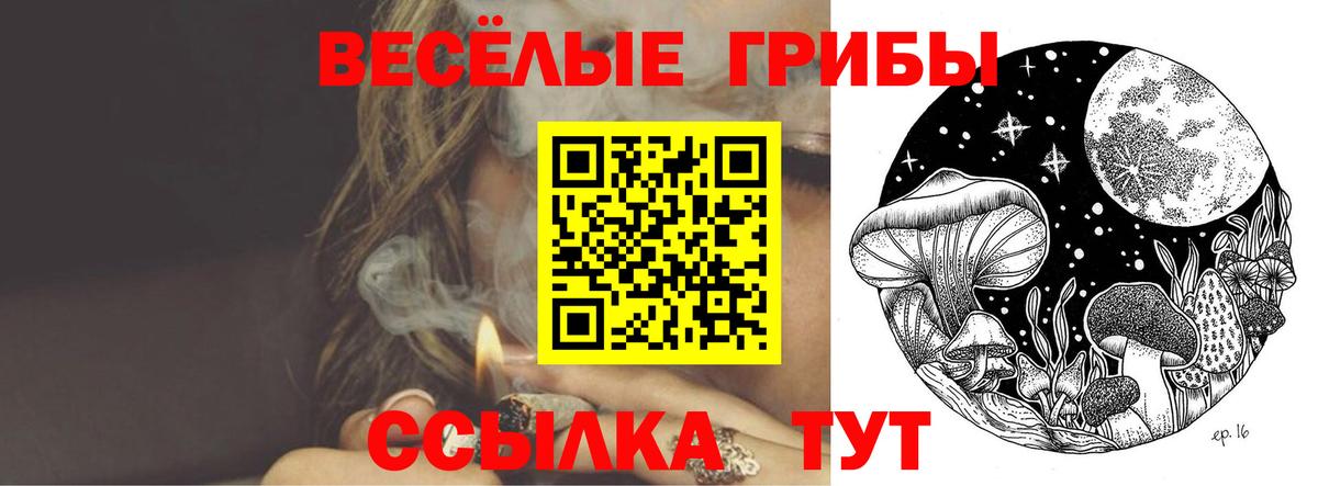 Псилоцибиновые грибы Psilocybe  наркотики  Псилоцибиновые грибы прущие грибы  Зеленогорск  Вход с VPN 